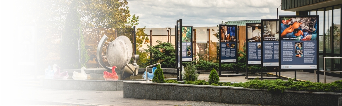 30 let Nemocnice Na Homolce - výstava