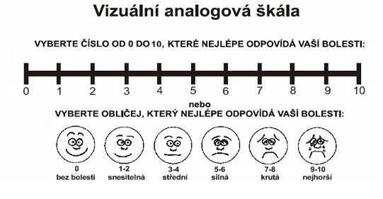 Vizuální analogová škála bolesti